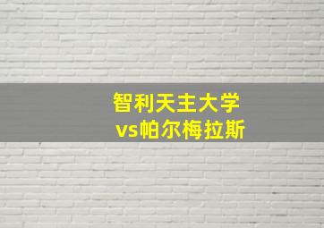 智利天主大学vs帕尔梅拉斯