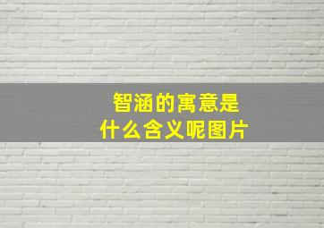 智涵的寓意是什么含义呢图片