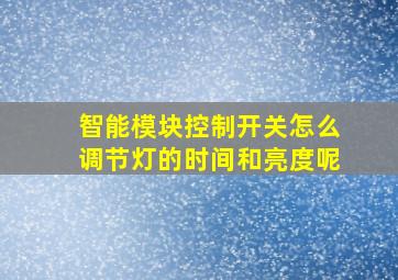 智能模块控制开关怎么调节灯的时间和亮度呢