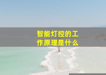 智能灯控的工作原理是什么