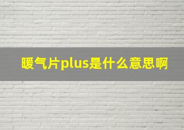 暖气片plus是什么意思啊