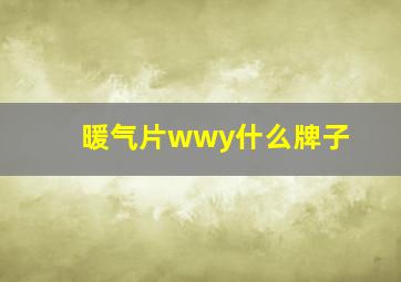 暖气片wwy什么牌子