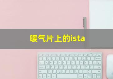 暖气片上的ista