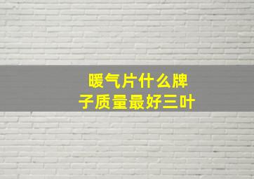 暖气片什么牌子质量最好三叶