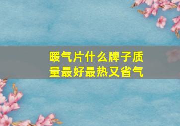 暖气片什么牌子质量最好最热又省气