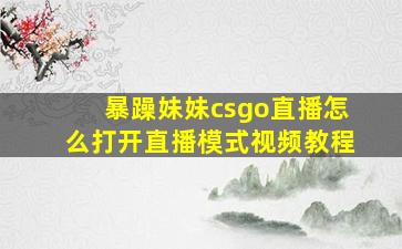 暴躁妹妹csgo直播怎么打开直播模式视频教程