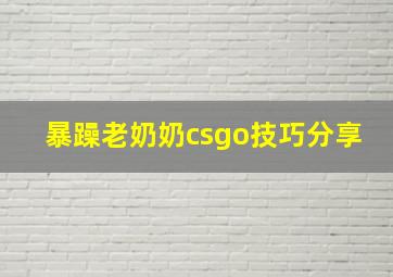 暴躁老奶奶csgo技巧分享