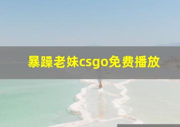 暴躁老妹csgo免费播放