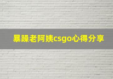 暴躁老阿姨csgo心得分享