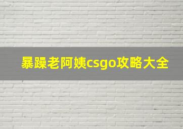 暴躁老阿姨csgo攻略大全