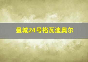 曼城24号格瓦迪奥尔