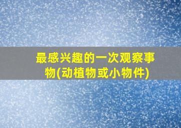最感兴趣的一次观察事物(动植物或小物件)