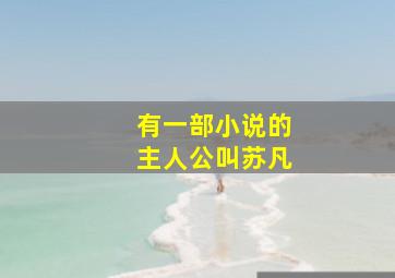 有一部小说的主人公叫苏凡