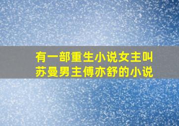 有一部重生小说女主叫苏曼男主傅亦舒的小说