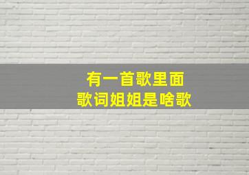 有一首歌里面歌词姐姐是啥歌