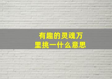 有趣的灵魂万里挑一什么意思