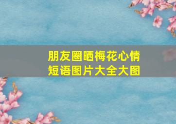 朋友圈晒梅花心情短语图片大全大图