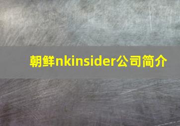 朝鲜nkinsider公司简介