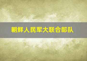 朝鲜人民军大联合部队