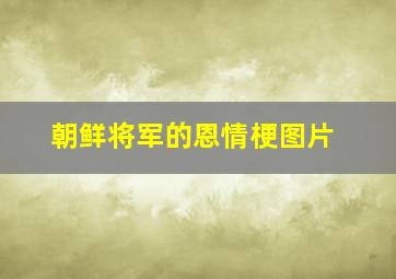 朝鲜将军的恩情梗图片