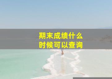 期末成绩什么时候可以查询