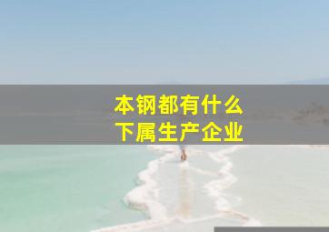 本钢都有什么下属生产企业