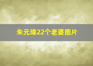 朱元璋22个老婆图片