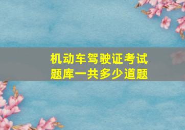 机动车驾驶证考试题库一共多少道题