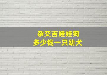 杂交吉娃娃狗多少钱一只幼犬