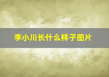 李小川长什么样子图片