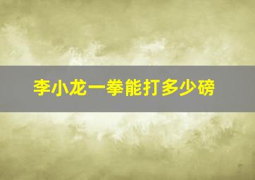 李小龙一拳能打多少磅