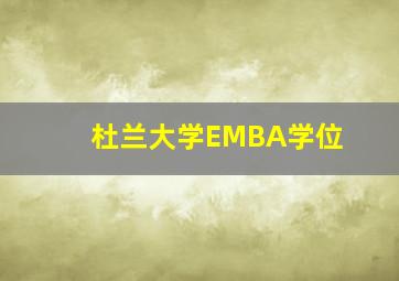 杜兰大学EMBA学位