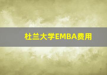 杜兰大学EMBA费用