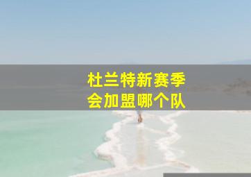 杜兰特新赛季会加盟哪个队