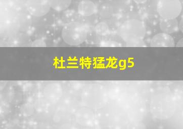 杜兰特猛龙g5