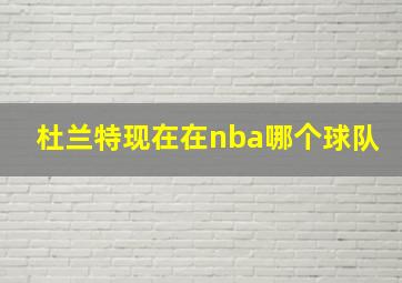 杜兰特现在在nba哪个球队