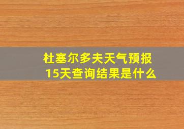 杜塞尔多夫天气预报15天查询结果是什么