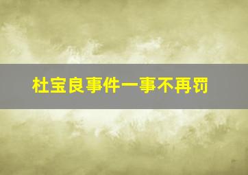 杜宝良事件一事不再罚