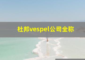 杜邦vespel公司全称