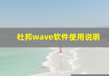 杜邦wave软件使用说明