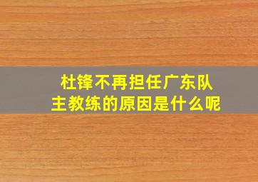 杜锋不再担任广东队主教练的原因是什么呢