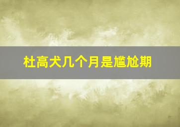 杜高犬几个月是尴尬期