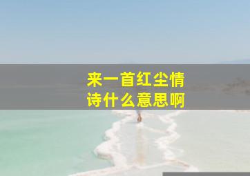 来一首红尘情诗什么意思啊