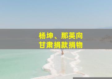 杨坤、那英向甘肃捐款捐物