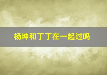 杨坤和丁丁在一起过吗