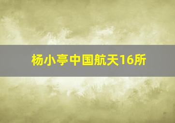 杨小亭中国航天16所