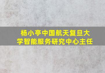 杨小亭中国航天复旦大学智能服务研究中心主任