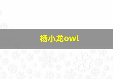 杨小龙owl