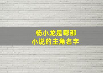 杨小龙是哪部小说的主角名字