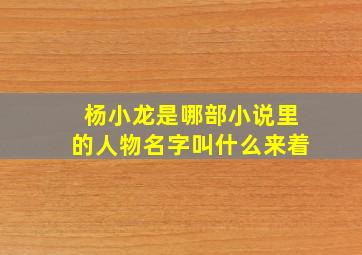 杨小龙是哪部小说里的人物名字叫什么来着